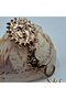 Steel Earrings Gold Color Women Jewelry - 2