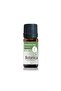 100% Pure Eucalyptus Essential Oil 10 ml - Refreshing Breath and Sauna Effect for Winter Season - 2