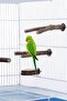Roost Platform Cage Accessories 8Pcs Natural Wood Bird Perch Stand-wood Parrot Perch Stand - 4