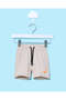 Infant Boys Green Dino Print Casual Set (2 Piece) - 3