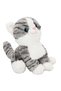 Bıyınessiworldız Cat Plush 30 cm S00004774