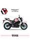 Yamaha Mt25 Fairing Sticker Air Brush Motorcycle Fairing Model Ready Kit 2019 / 2024 Compatible