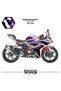 Rks Srk 125R - 250Rs Fairing Sticker Air Brush Motorcycle Fairing Model Ready Kit All Years Compatible