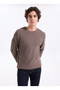 Round Neck Regular Fit Dark Mink Men's Sweater 261 Lcm 241018 Duane K.Vizon - 3