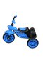 CHILDREN TRICYCLE-Blue - 2