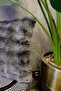 Plush Puffy Decorative Pillow Cushion Cover Fluffy Bubble Anthracite 1 Piece 50X50 cm - 4