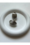 Striped Oyster Model Silver Color Women's Earrings