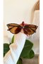 Sunglasses Uv400 Protection Unisex with Case and Cleaning Cloth as a Gift New Season Vintage