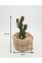 Cactus Design Jewelry Box |   Ring, Bracelet and Necklace Organizer |   Decorative Storage Box - 7