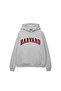 Harvard V2 Printed Oversized Unisex Light Gray Hoodie