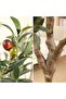 180cm Artificial Olive Tree in Pot with Realistic Fruit & Branches, Indoor/Outdoor Home Gift - 3