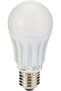 170: Assorted LED Warm Screw-Promo 2PC Set