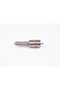 Injector 0433271079 - 3