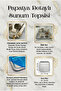 Papatya Detailed Metal Presentation Tray Set of 2 – Gold and Silver Options - 2