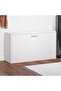 Shoe Bench High Gloss White 80x24x45 cm Engineered Wood