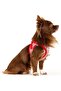 Vest Harness Merino Clasp Red 3XS Cb15316 Css62199 - 4