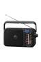 باناسونيك - راديو رقمي محمول RF-2400D AM/FM - 2