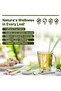Lemongrass Herbal Tea, Detox & Metabolism Boost, Caffeine-Free, 100g (100 Cups) - 6