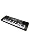 49 Keys with Microphone - 3