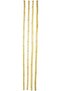 Natural Bamboo Pole / Stake - 2