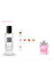 عطر رحال 35 مل - MISS BLUM BO