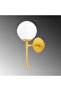 Mudoni Stylish Glass Single Sconce with Black Finish E27 Compatible - 6
