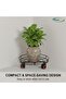 Movable Metal Chassis Heavy-Duty Stand for Gas LPG Cylinder - 3