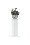 Plant Stands 2 pcs White 30x30x60 cm Engineered Wood