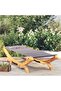Outdoor Lounge Bed 100x188.5x44 cm Solid Bent Wood Anthracite