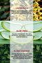 Witch Hazel Aloe Vera Tonic 200 ml - 3