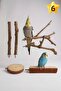 6 Pieces Bird Perches Set - Wooden Perches, Parrot Stand & Toys, for Lovebirds