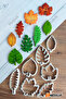 7-Piece Tropical / Autumn Leaf Cookie and Sugar Dough Mold / Leaves Cutter