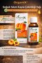 Apricot Oil Cold Pressed 50 ml - 100% Natural Moisturizer, Face Body Hair Care Oil, Vitamin a and E - 3