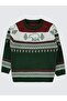 Bear Patterned Sweater for 2-5 Years Old - Green