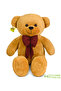 Plush Gift Set – 80 cm Teddy Bear, Balloon Teddy Bear, Daisy and Avocado Pillow - 4