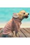 Powder Pink Premium Plush Medium Breed Dog Sweatshirt (SUITABLE FOR DOGS BETWEEN 8-20 KG) - 3