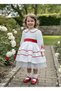 Girls' Special Occasion Dress, Holiday Dress, Girls' Evening Dress, April 23 October 29 Performance Outfit - 4