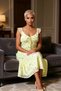 Women's Plus Size V-Neck Sleeveless Chiffon Woven Midi Dress Floral Pattern A-Line Functional Stylish - 4