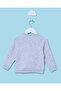 Infant Boys Grey Printed Sweatshirt - 8