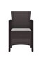 Garden Chair 2 pcs Brown Polypropylene - 2