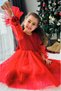 Red Long Tulle Sleeve Tutu Baby Girl Dress - Cinderella - 5