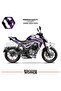 Cfmoto Nk250 Fairing Sticker Air Brush Engine Fairing Model Ready Kit 2024-2025 Model Compatible