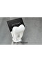 Modern Dental Figure Business Card Holder |   Clinic & Office Desktop Accessory - 2