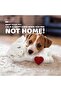 Little Buddy Heart Beat Sheep Dog Plush Toy, White, 2.8 Kg - 4