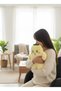 Cute Animals Thick Plush Warm Water Bag Chick - 2