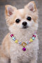 Dog Collar with Bell Pet Necklace Accessory for Small and Medium Breeds