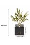 ®   Artificial Flower with Light – Black Cobalt Led Decorative Plant, Desktop and Home Office Illuminated Ornament - 5