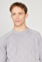 Gray Melange Wool Standard Fit Regular Cut Crew Neck Jacquard Knitwear Sweater - 4