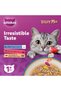 Tasty Mix, Mix of the Tuna Collection in Jelly, Pack of 12x70g, Wet Cat Food, Developed with - 2