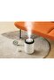 RZ100 Constant Humidity Distillation Humidifier - 3